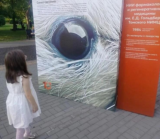Динамика династий